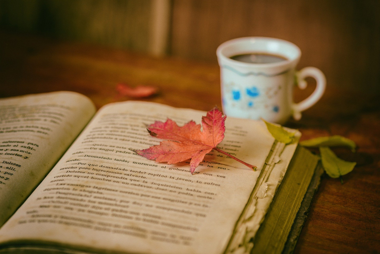 Llibre