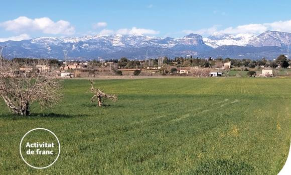 Cicle de conferències "La UOM arreu de Mallorca"