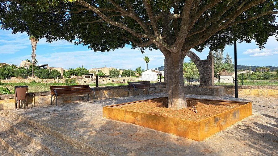 nou curs sant joan