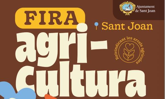 Descobreix les decoracions que omplen Sant Joan de vida