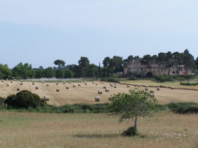 Sant Joan