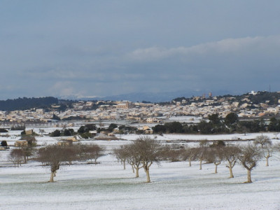 Sant Joan