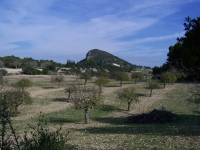 Sant Joan