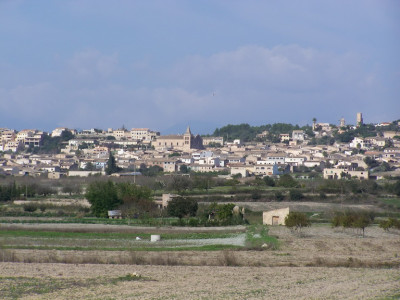 Sant Joan