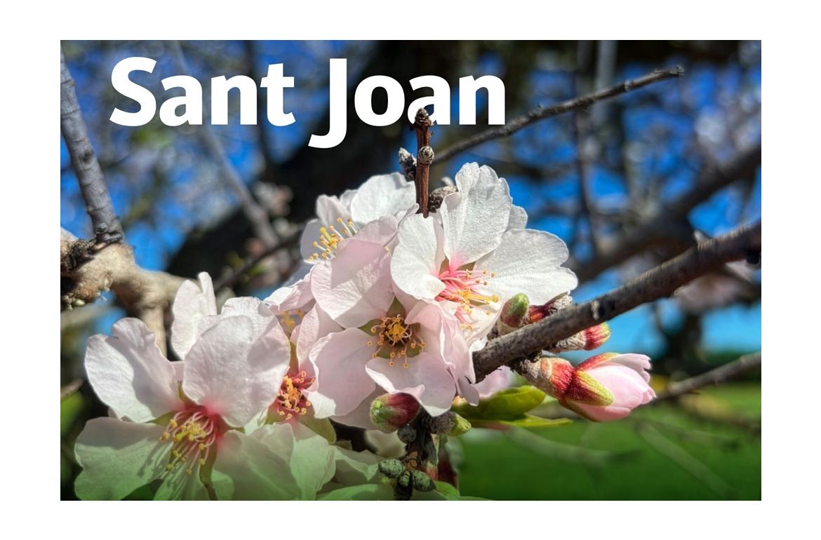 uom sant joan