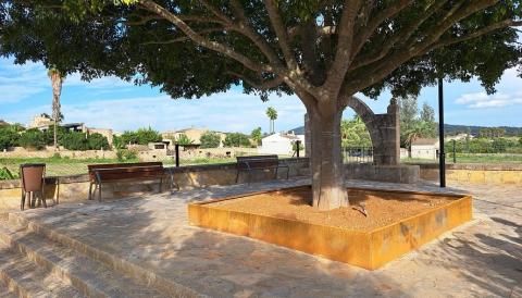 nou curs sant joan