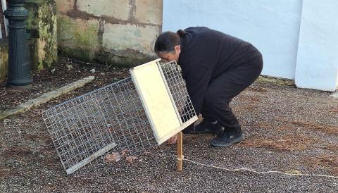 campanya d’esterilització